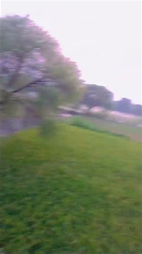 Pagli, Dikhaiye Agar Baat Hai