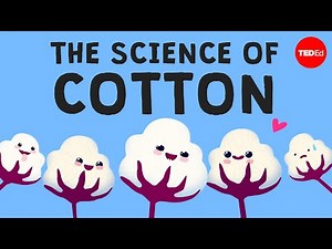 Why is cotton in everything? - Michael R. Stiff