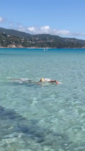 Dolphin Academy | Dolphin Academy