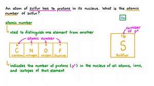 Determining the Atomic Number of Sulfur Given the Number of Protons in a Sulfur Atom