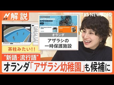 「はて？」「はいよろこんで」「界隈」…2024年の新語・流行語 30語がノミネート、今年を象徴する言葉は？【Nスタ解説】｜TBS NEWS DIG
