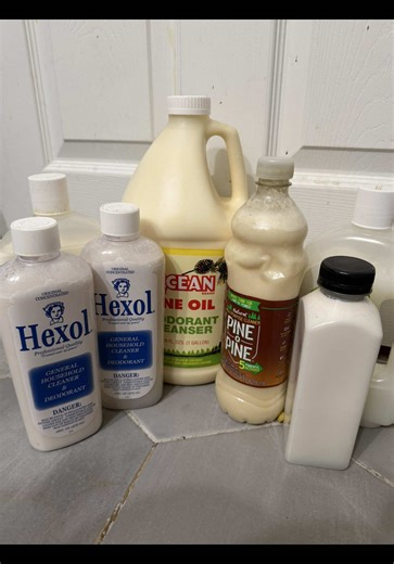 Experience the Unique Aroma of Pine Milk Play