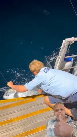 dron fishing 🎣 fishing lovers 💕 trending video green 💚 screen shot 💉 subscribe like