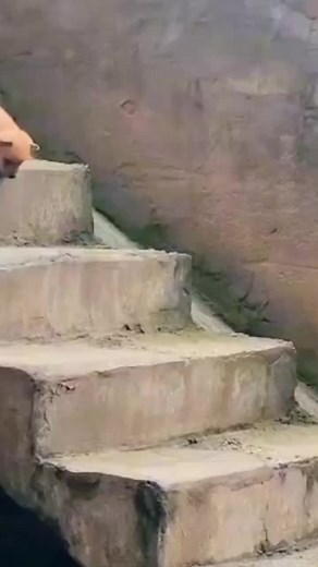 Me voy #meme #fyp #humor #canciontriste #perritos #mevoy