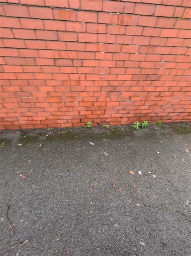 Diagnosing Cars with ChatGPT: A Mechanic's Experience