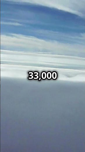 The Deadly Bet That Shook Aviation History! Aeroflot Flight 6502