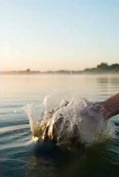 BIG Catch Fishing Adventures in the USA