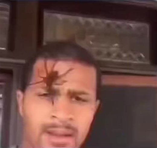 Steve Harvey Spider Meme Face: Hilarious Spider Prank Reactions