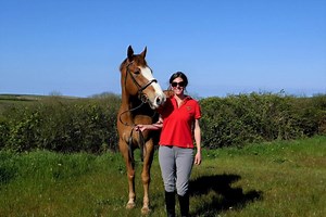 The diary of the home-made livery yard: have you no shame, woman? - Horse & Hound