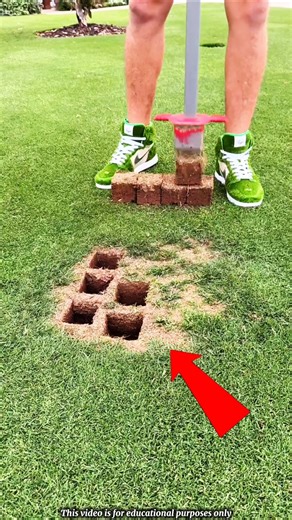 He Fixes Dead Grass Without Damaging the Garden 😱#shortvideo #shortsfeed