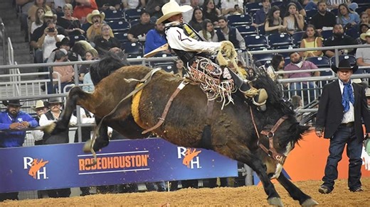 RodeoHouston unveils genre calendar for 2024 Star Entertainer lineup