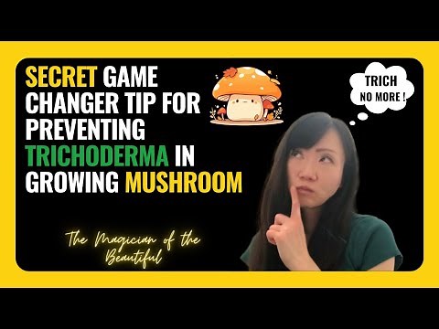Secret Tip To Prevent Trichoderma In Mushroom Growing | Contamination