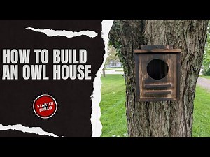 DIY Owl House | How to Build an Owl Nesting Box for Your Backyard