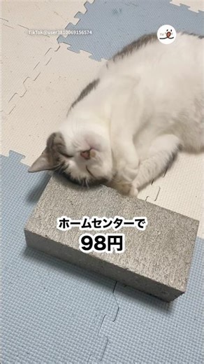 コンクリートを買ったらこれ🤭｜PECO