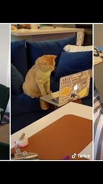 look at this little businessman