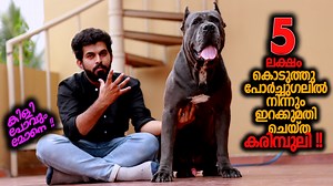 1M views · 10K reactions | Pet patrol is a US based leading organic...