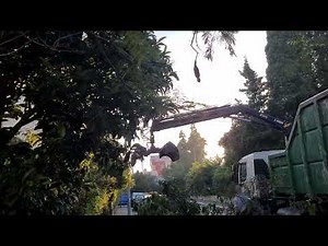 משאית מנוף מרימה גזם עצים A crane truck is lifting pruned branches