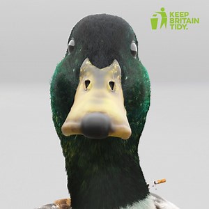 261 reactions · 66 shares | Are you littering without realising it? | Keep Britain Tidy | Facebook