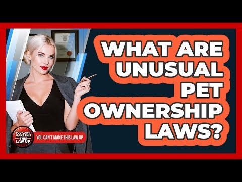 What Are Unusual Pet Ownership Laws?