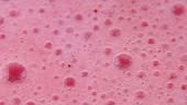 Macrophotography of a strawberry milkshake.