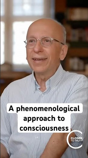 A phenomenological approach to consciousness