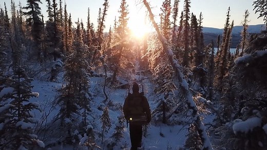 "I'd much rather hunt than be hunted." The new season of Life Below Zero: Next Generation starts Tuesday at 8/7c on National Geographic. | Life Below Zero