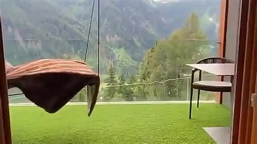 Видео VID_20200723_180141_182.mp4 | OK.RU