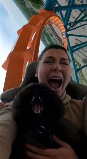 Girl Takes Her Cat on a Roller Coaster 🎢🐱 Both Start Screaming! | Funniest Reaction Ever