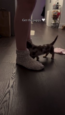 When You Know… You Get the Puppy