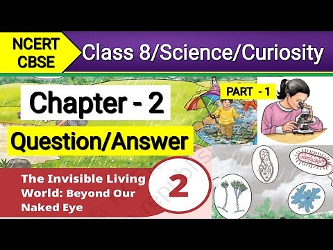 Question Answer Class 8 Science Chap 2 Curiosity | The Invisible Living World Beyond Our Naked Eye