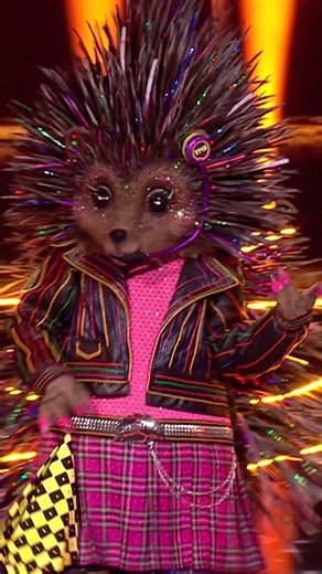 Der Igel begeistert beim Masked Singer