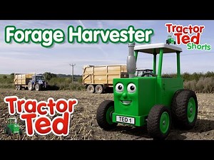 The Forage Harvester 🚜 | Tractor Ted Big Machines | Tractor Ted Official Channel #bigmachines