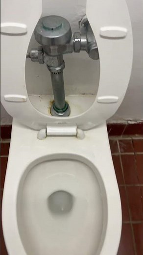 1970’s American Standard Afwall Toilet