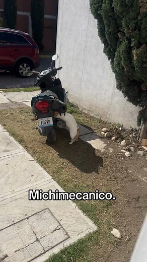 Reparación de hardware: lo que necesitas saber