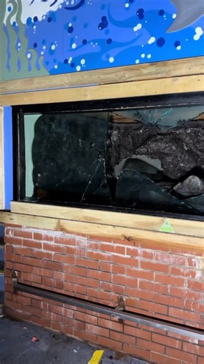 8.1K views · 133 reactions | Abandoned Aquarium let's explore #abandonedaquarium #abandonedplaces #abandoned #abandonedbuilding | Abandoned Places | Facebook