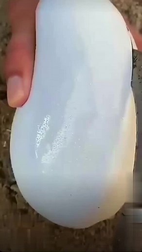 How to Cut a Mango Perfectly: Step-by-Step Guide