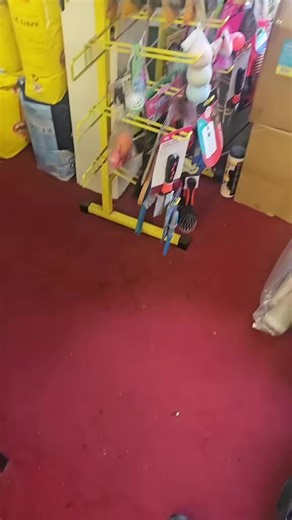 Discovering Glasgow's Unique Culture