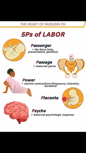 Nursing Study Tools: Notes Organizer Sheet & Flashcards