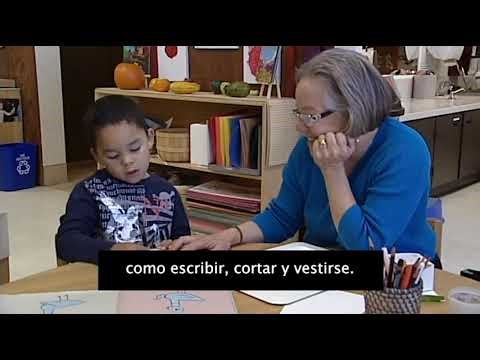 Overview Physical Development Domain