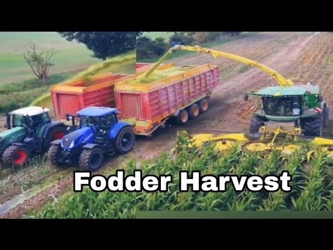 Powerful Fodder Harvester machine in Action | animal feed cutting process | modern agriculture