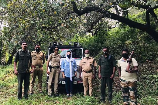 Wild elephants continue to invade Kerala’s Aralam farm, leave tribal families in fear