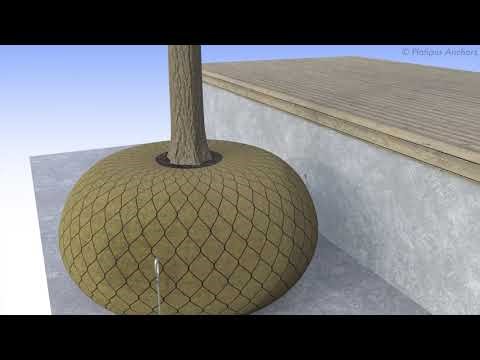 Tree Anchoring with the Platipus 3-Leg Specialist Fixing System using Plati-Mat