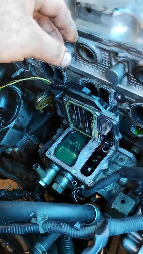 Guía para el Cambio de Módulo de Bomba VP44