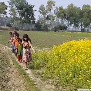 169K views · 882 shares | Amazing | Genius Engineering | Facebook