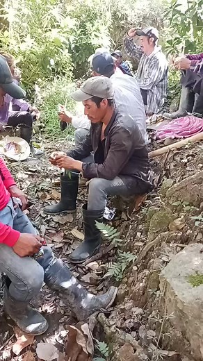 Exploring Nature: Group Outdoor Activities in the Forest