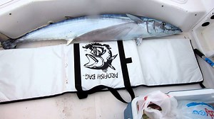 Which Insulated Fish Bags Stay Cold Longest – All Fishing Gear