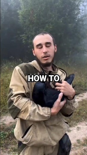 How To Befriend A Crow #howto #crow #how