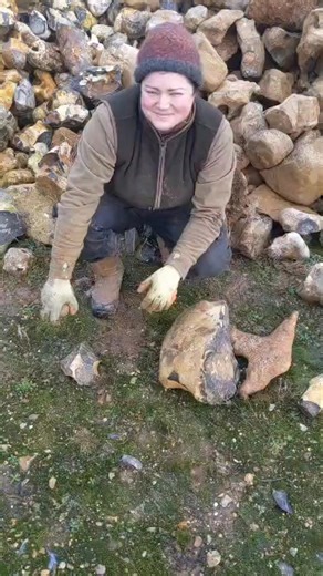 My equivalent of going to the shopping centre... Going flint hunting! Some really lovely stuff, and partly courtesy of my flint knapping mentee who is starting his journey into the craft as part of is Duke of Edinburgh award! Bug thanks to the quarry owner for letting us forage. I'm really looking forward to getting into some of this stone, and sharing the results with you! | Memma the Cavewoman
