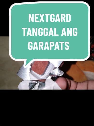 NextGard Spectra: Effective Flea and Tick Protection for Dogs