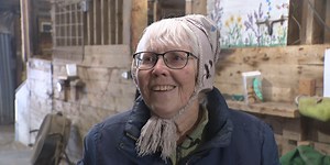 Cabot artist finds healing through equine therapy volunteer work